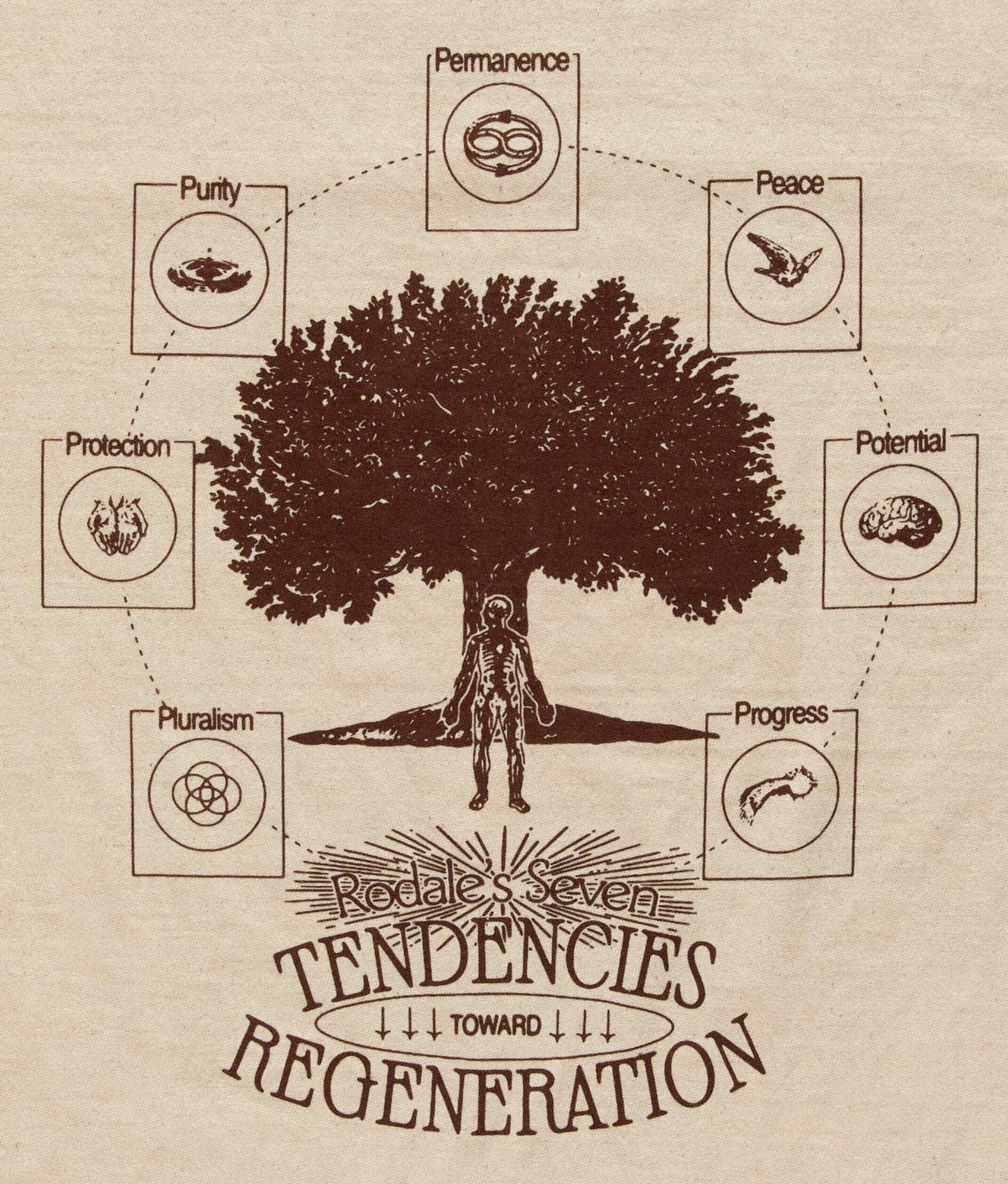 Rodale Short Sleeve Tee | Brown - Image 3