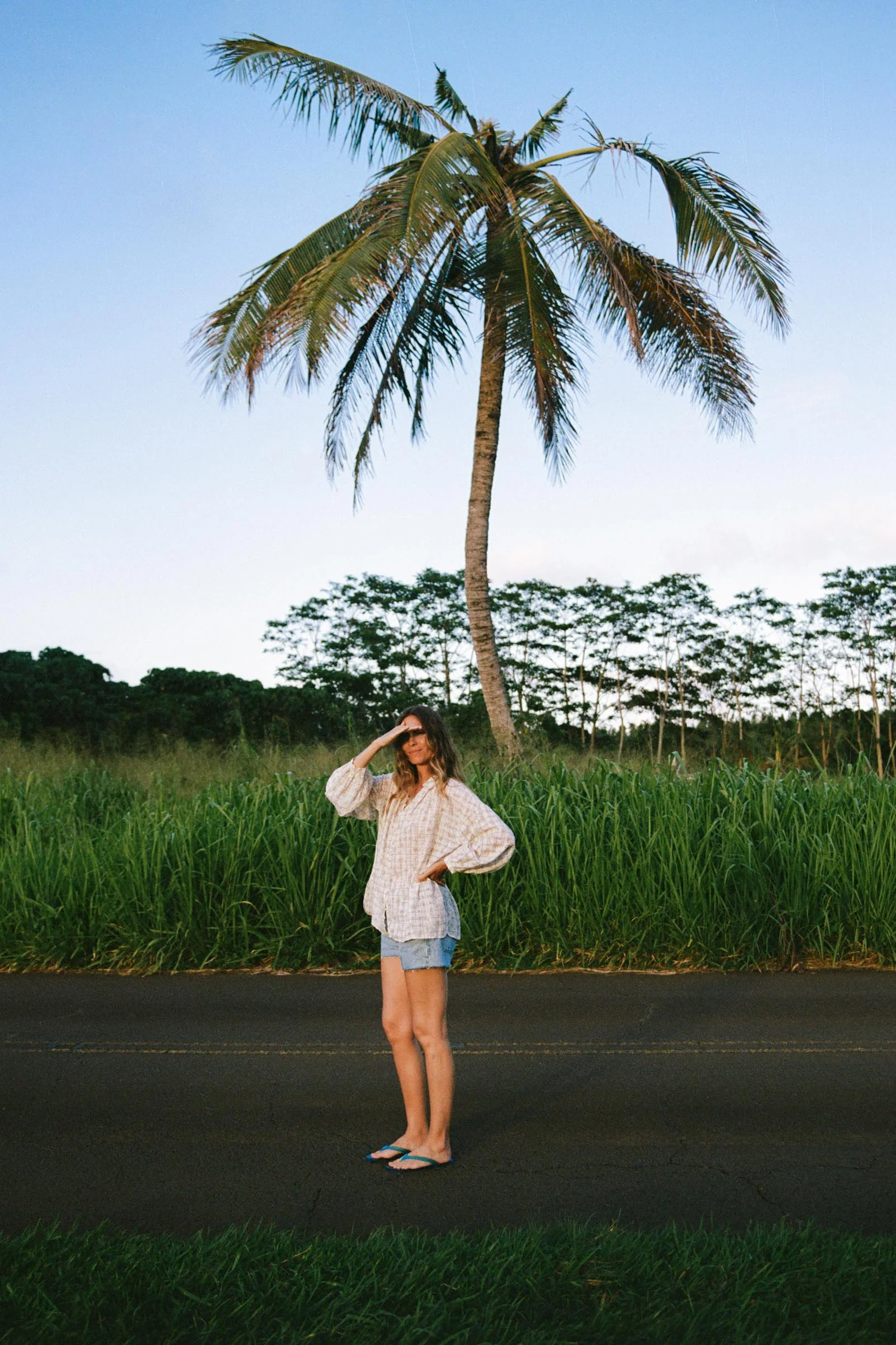 The Carol Blouse | Rose Trellis - Image 6