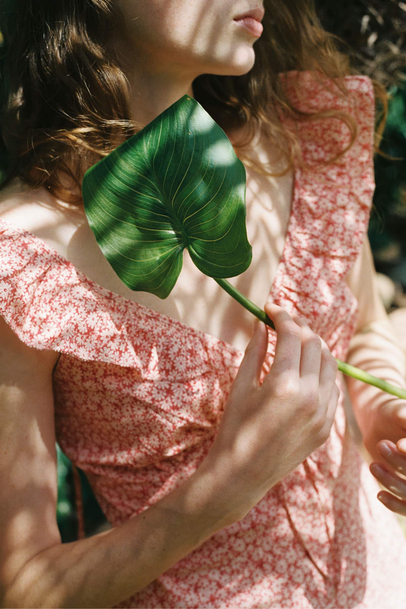 The Nova Dress | Rouge Phlox - Image 5